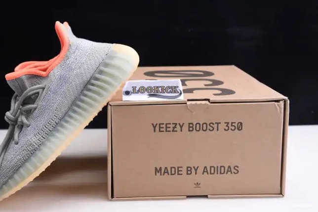 Boost FX9035 V2 Yeezy Sage 350 Adidas Desert 0501